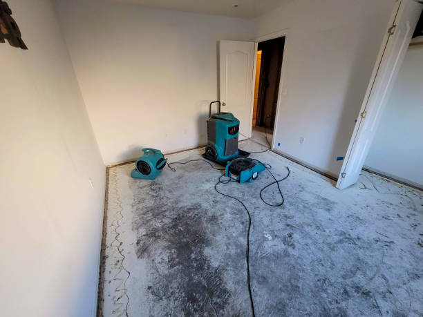 Best 24/7 water damage repair  in Port Monmouth, NJ
