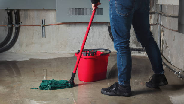 Best Ceiling water damage repair  in Port Monmouth, NJ