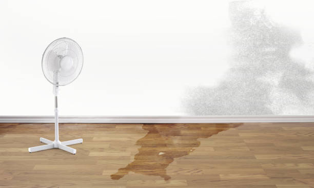 Best Water damage mitigation services  in Port Monmouth, NJ