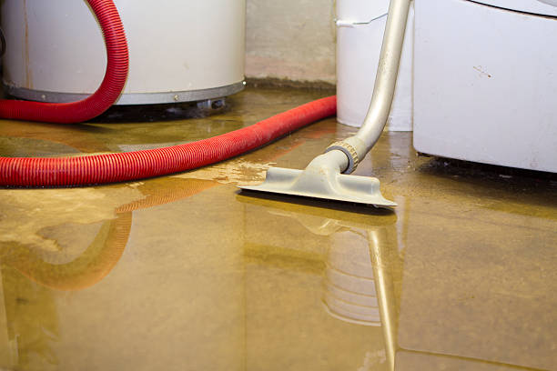Best Water damage restoration near me  in Port Monmouth, NJ