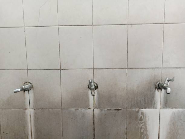 Best Water damage contractors near me  in Port Monmouth, NJ
