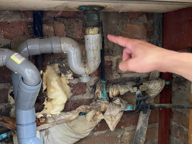Best Water damage contractors near me  in Port Monmouth, NJ