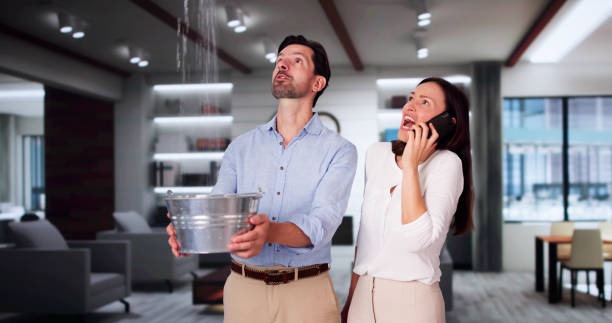 Best Professional water damage repair  in Port Monmouth, NJ