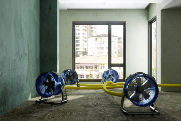 Best Mold removal after water damage  in Port Monmouth, NJ